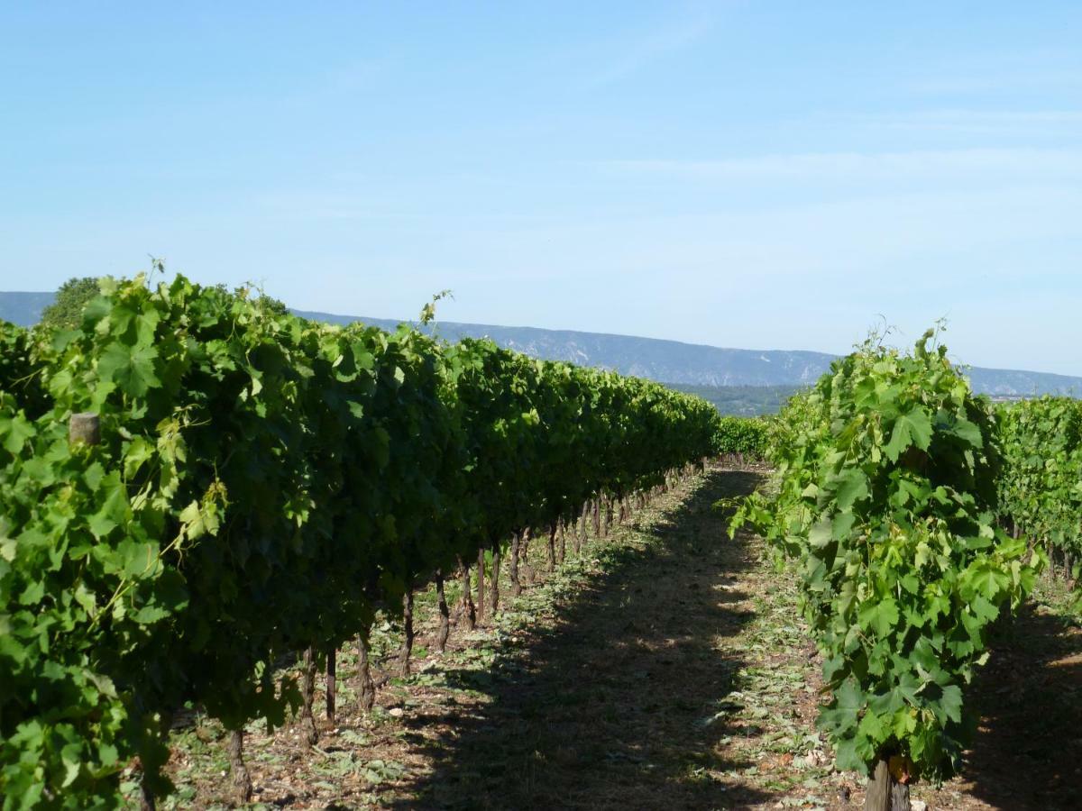 Luberon & Lavandes Roussillon en Isere Exterior foto