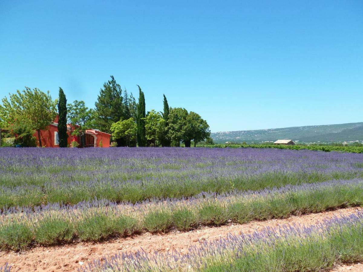 Luberon & Lavandes Roussillon en Isere Exterior foto