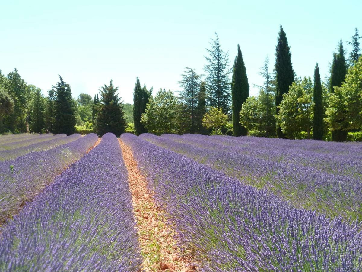 Luberon & Lavandes Roussillon en Isere Exterior foto